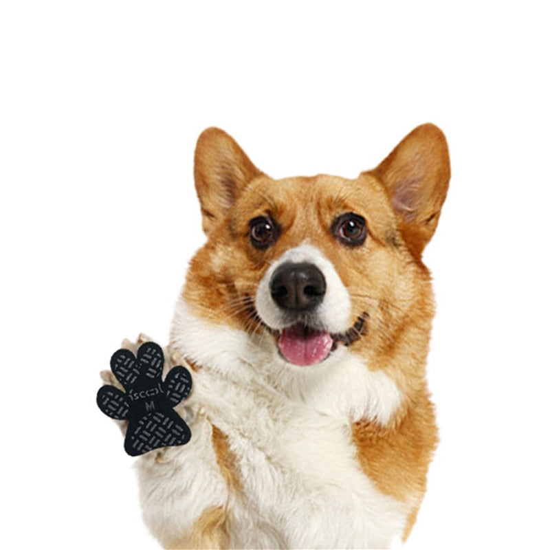 Dog Anti-Slip Pads - The TC Shop