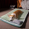 Dog Warm Pet Bed - The TC Shop