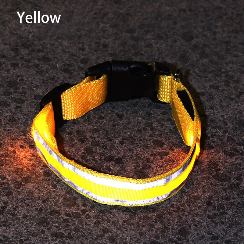LED Light Dog Collar - The TC Shop
