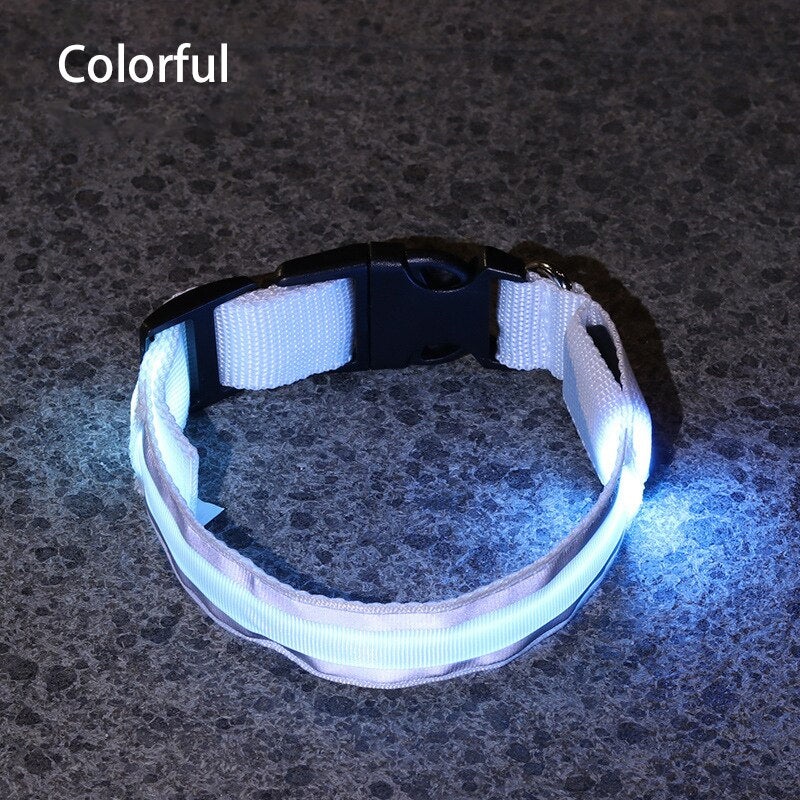 LED Light Dog Collar - The TC Shop