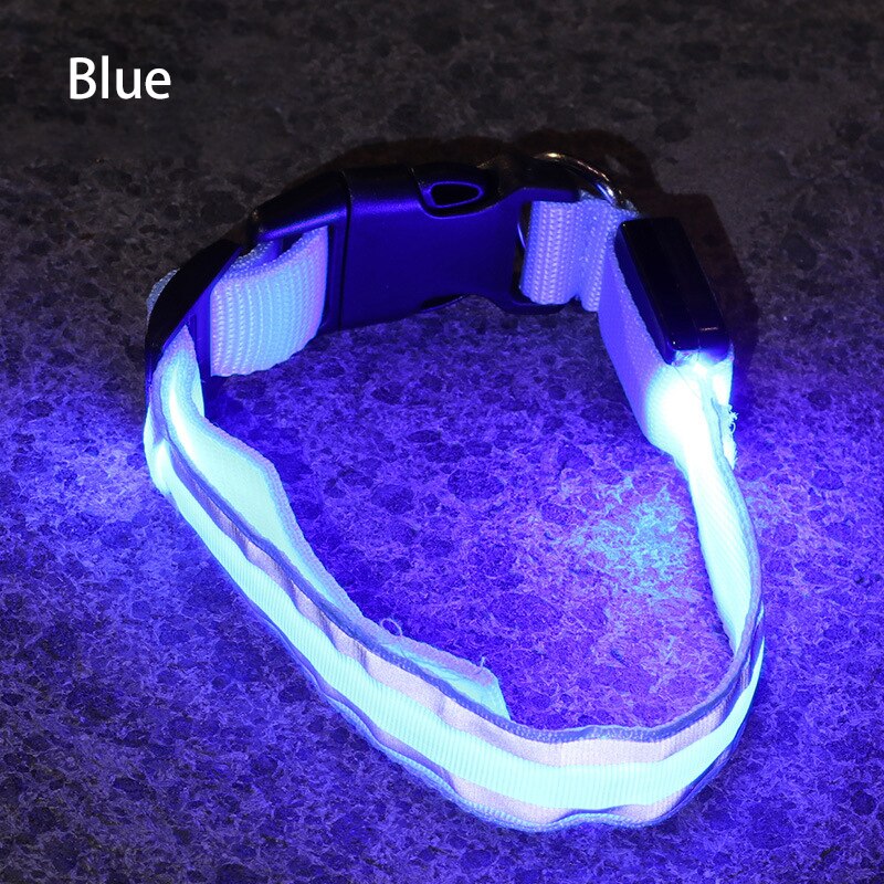 LED Light Dog Collar - The TC Shop