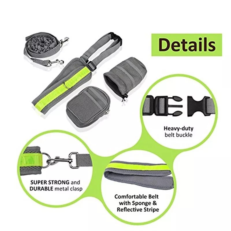 Dog Elastic Belt Leash Set - The TC Shop