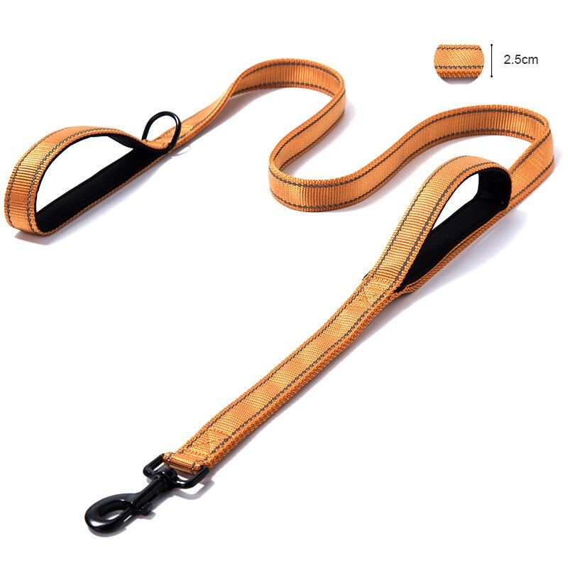 Padded Dual Handle Dog Leash - The TC Shop