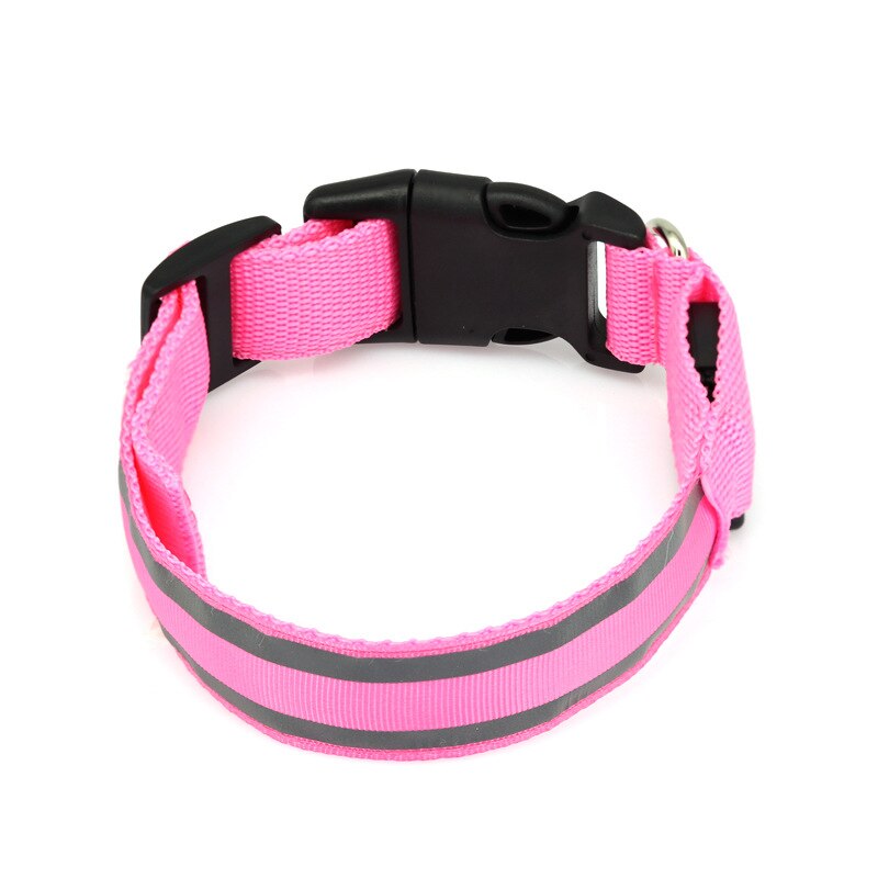 LED Light Dog Collar - The TC Shop