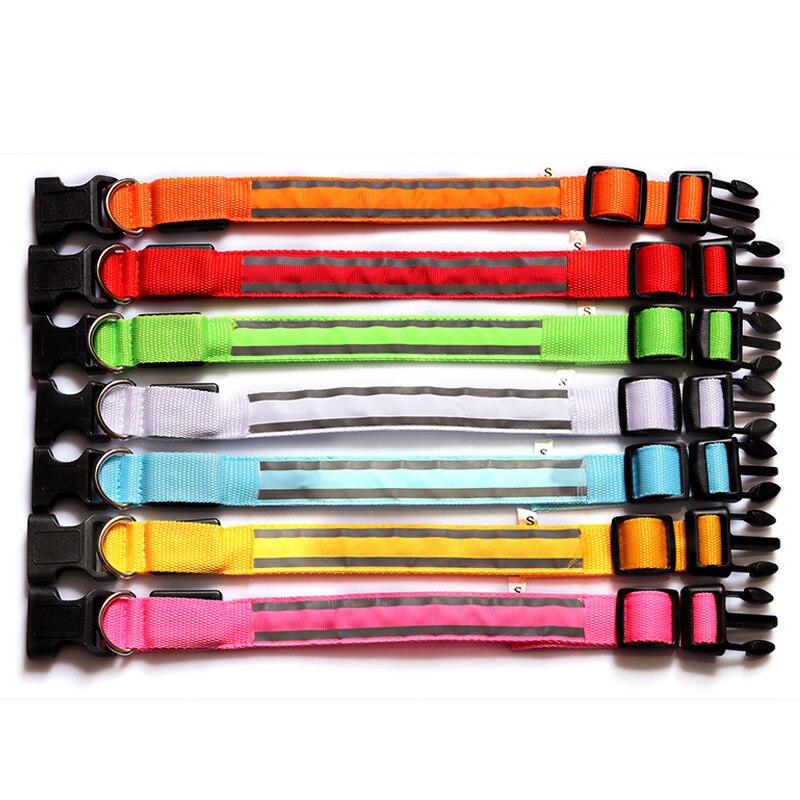 LED Light Dog Collar - The TC Shop