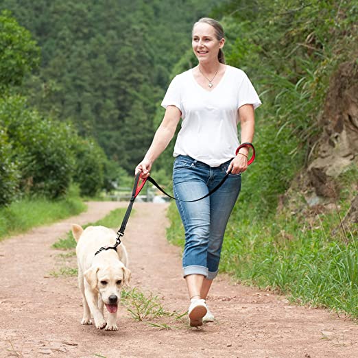 Padded Dual Handle Dog Leash - The TC Shop