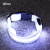 LED Light Dog Collar - The TC Shop
