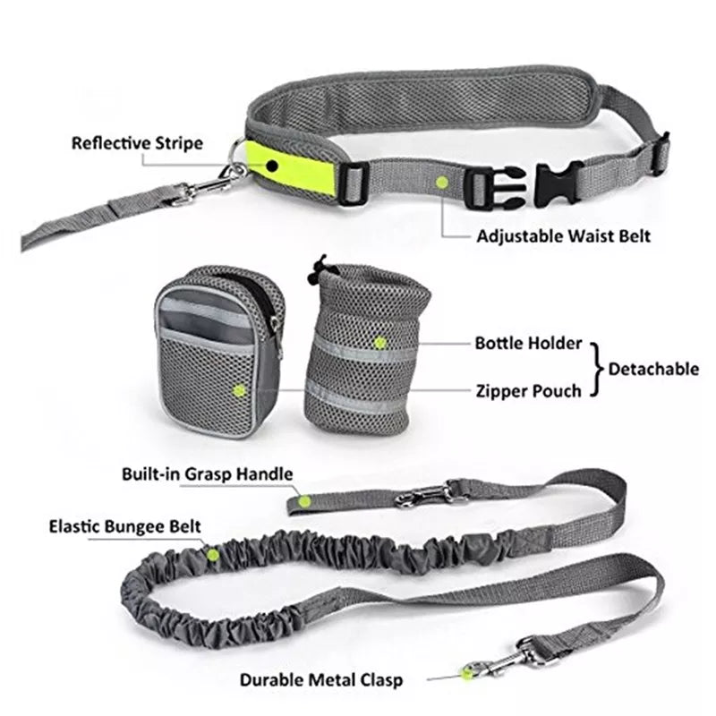 Dog Elastic Belt Leash Set - The TC Shop