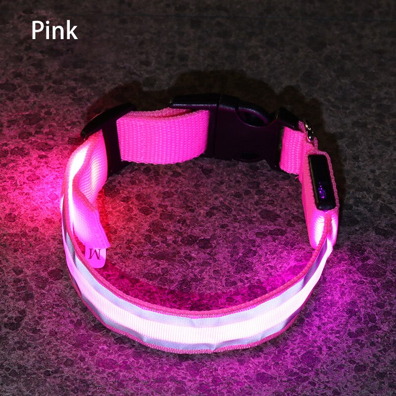 LED Light Dog Collar - The TC Shop
