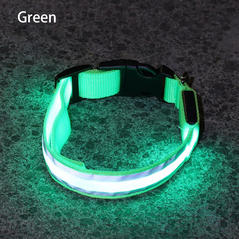 LED Light Dog Collar - The TC Shop