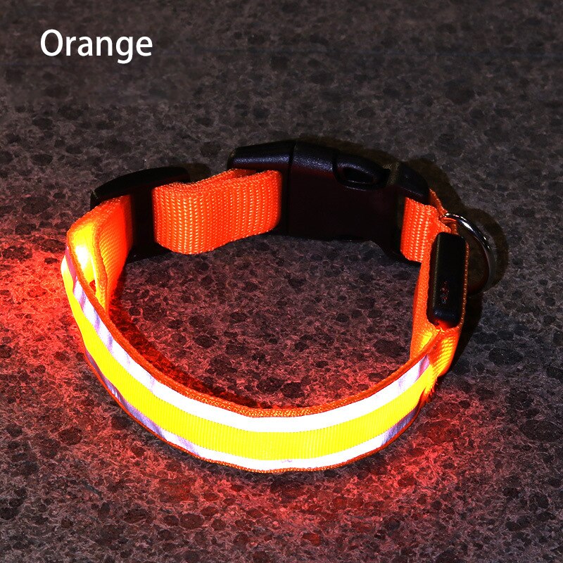 LED Light Dog Collar - The TC Shop