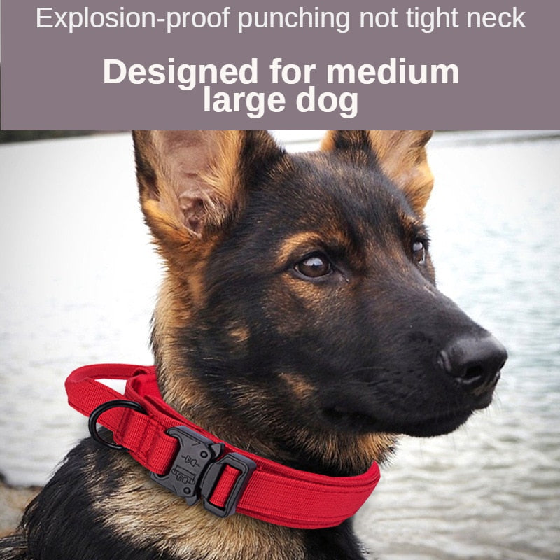 Tactical Dog Collar - The TC Shop