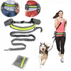 Dog Elastic Belt Leash Set - The TC Shop