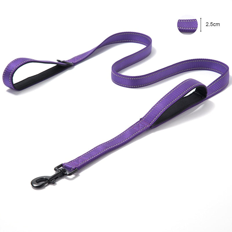 Padded Dual Handle Dog Leash - The TC Shop