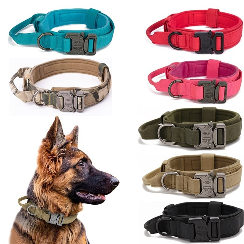 What is a Tactical Dog Collar?