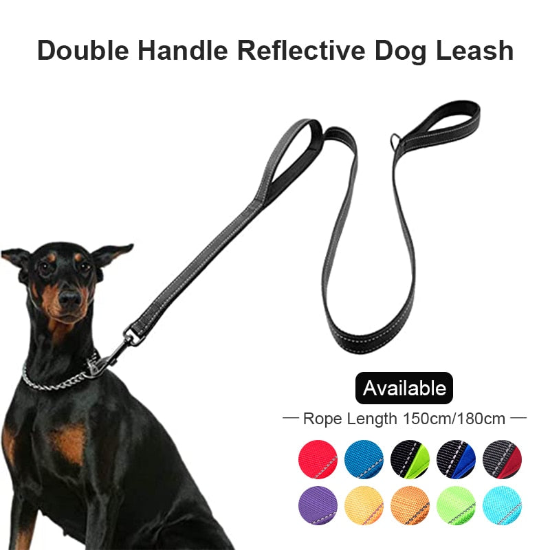 Padded Dual Handle Dog Leash - The TC Shop