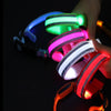 LED Light Dog Collar - The TC Shop