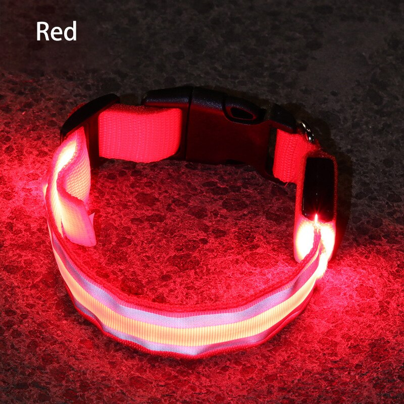 LED Light Dog Collar - The TC Shop