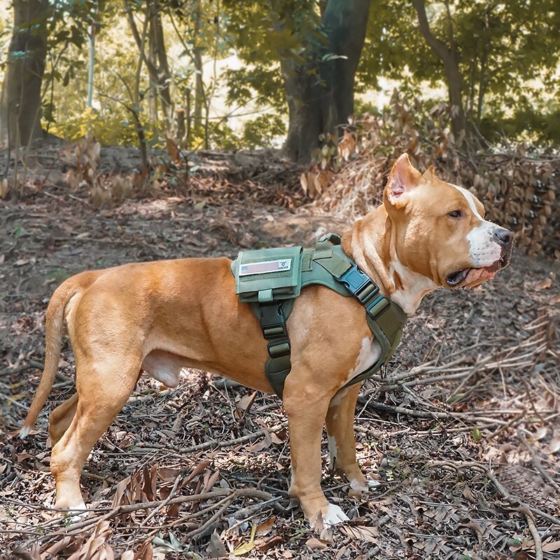 Tactical Vest Dog Harness - The TC Shop