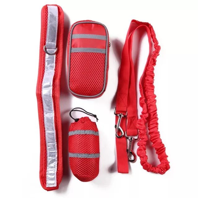 Dog Elastic Belt Leash Set - The TC Shop