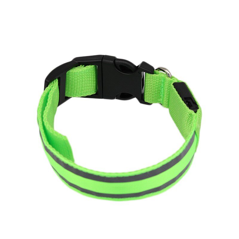 LED Light Dog Collar - The TC Shop