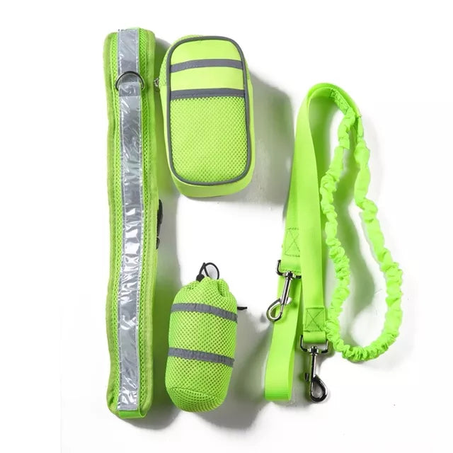 Dog Elastic Belt Leash Set - The TC Shop