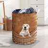 Dogo Argentino - Rattan - LB - The TC Shop