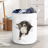 Spanish Water dog - Tornpaper - LB - The TC Shop