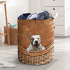 American Bulldog - Rattan - LB - The TC Shop