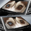 DOG EYES - The TC Shop