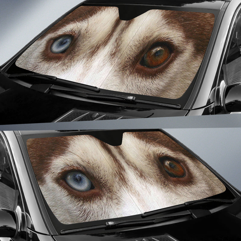 DOG EYES - The TC Shop