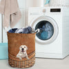 Dogo Argentino - Rattan - LB - The TC Shop