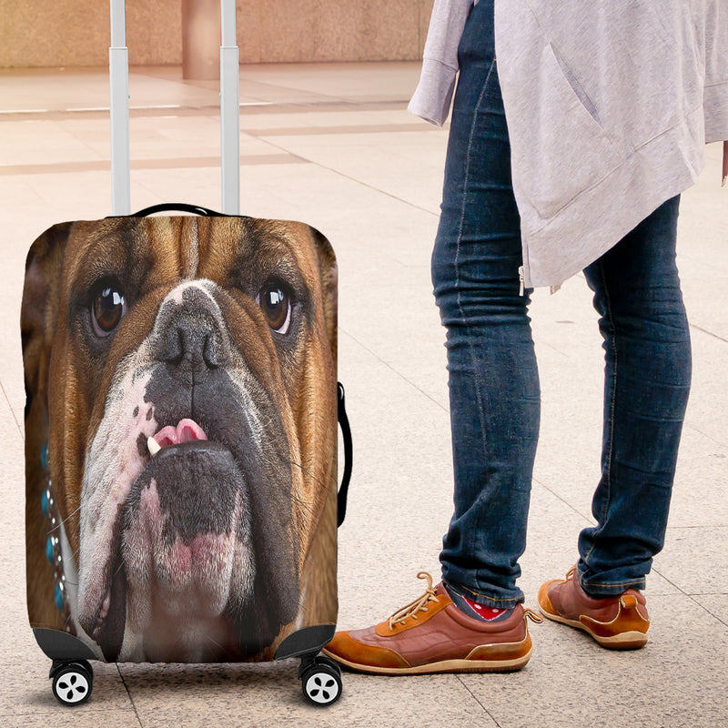Bull Dog Luggage Cover - The TC Shop