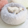 Super Soft Pet Bed - The TC Shop