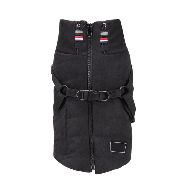 Dog Winter Jacket - The TC Shop