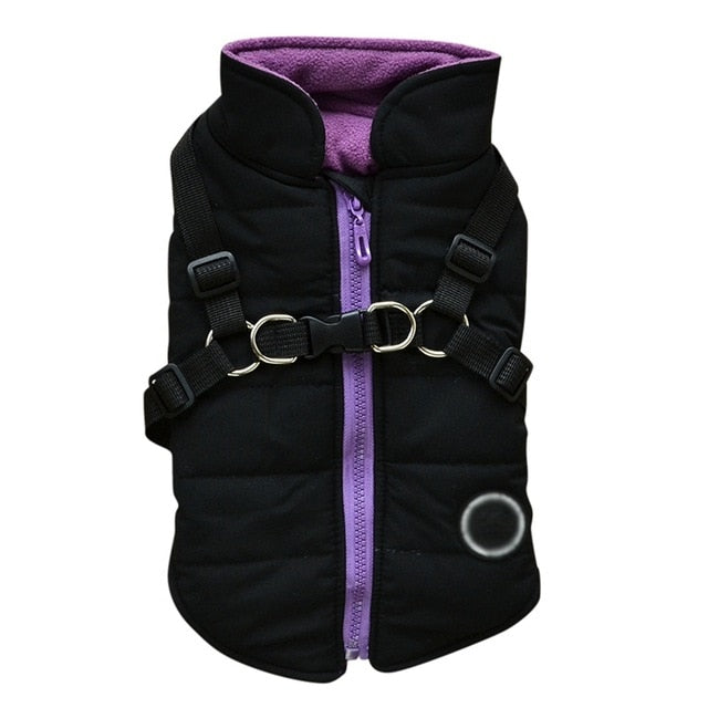 Dog Winter Jacket - The TC Shop