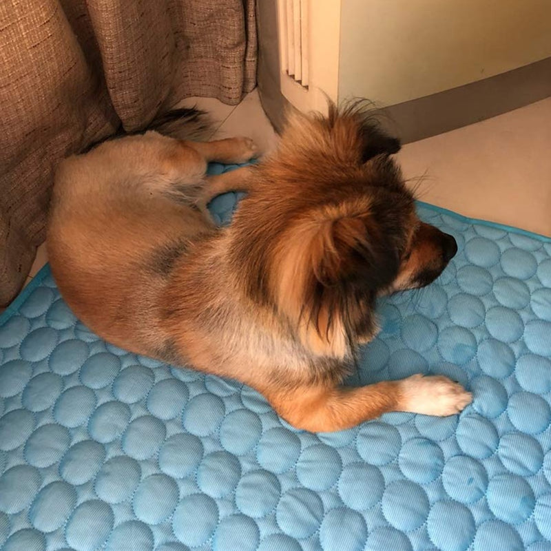 Cooling Dog Mat - The TC Shop
