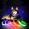 Led Glow Dog Collar - The TC Shop