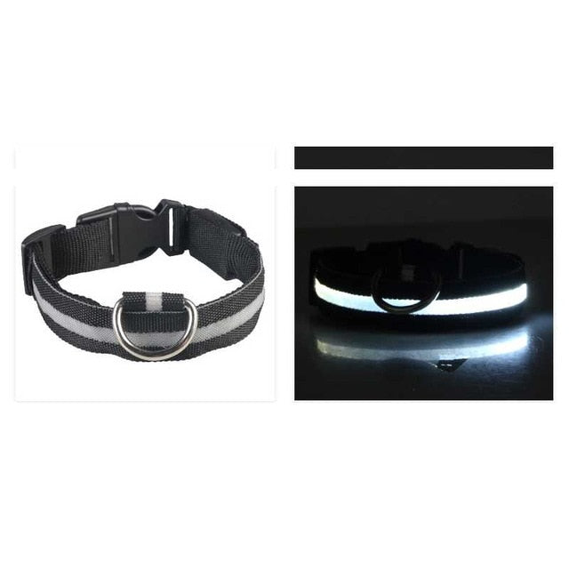 Led Glow Dog Collar - The TC Shop