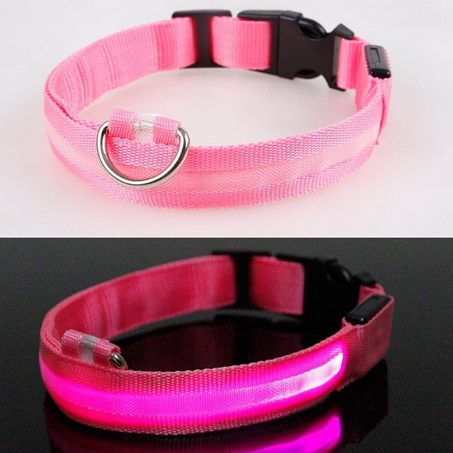 Led Glow Dog Collar - The TC Shop