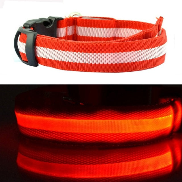 Led Glow Dog Collar - The TC Shop