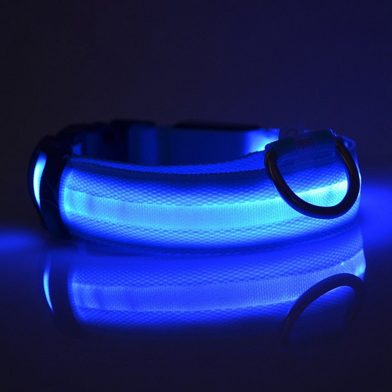 Led Glow Dog Collar - The TC Shop