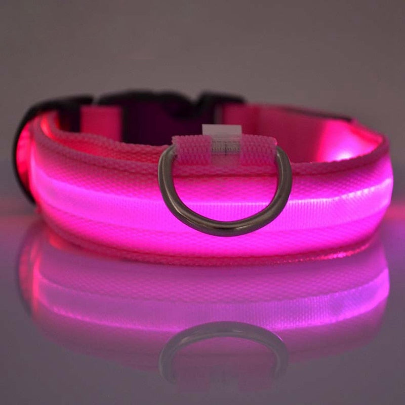 Led Glow Dog Collar - The TC Shop